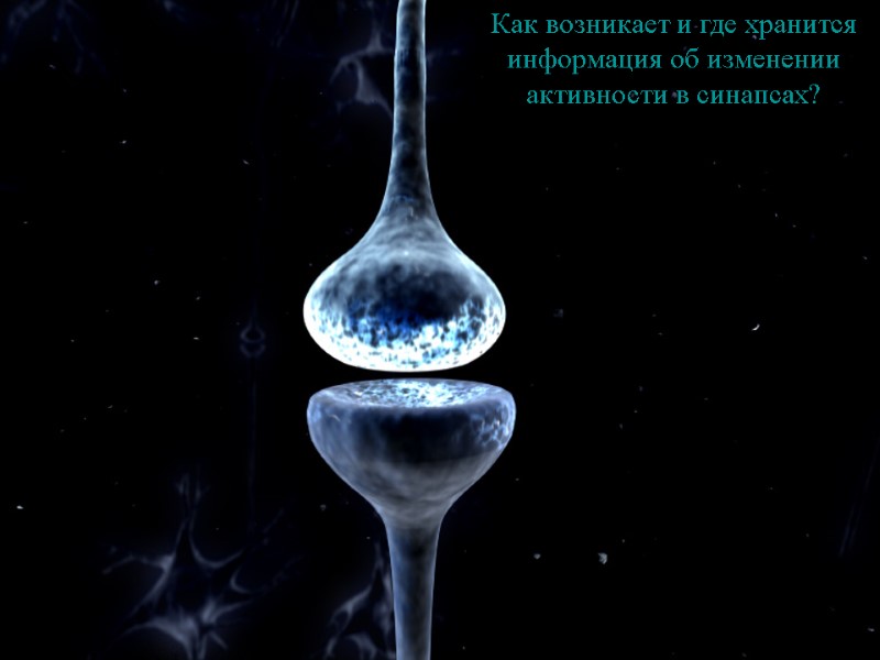 Как возникает и где хранится информация об изменении активности в синапсах?